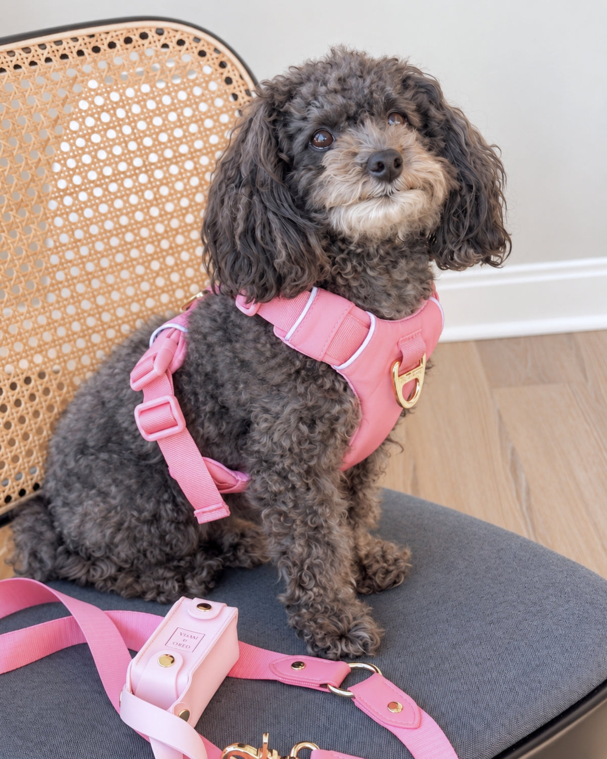 Harness - Baby Pink