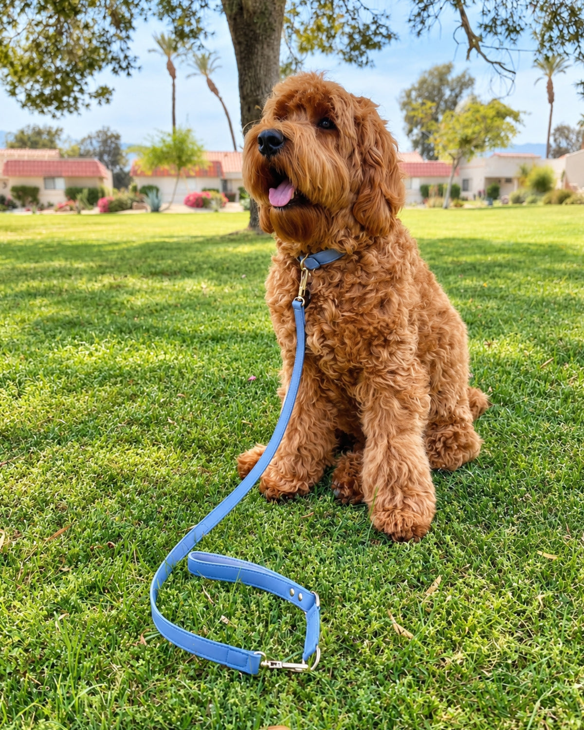 Classic Leash - Stone Blue