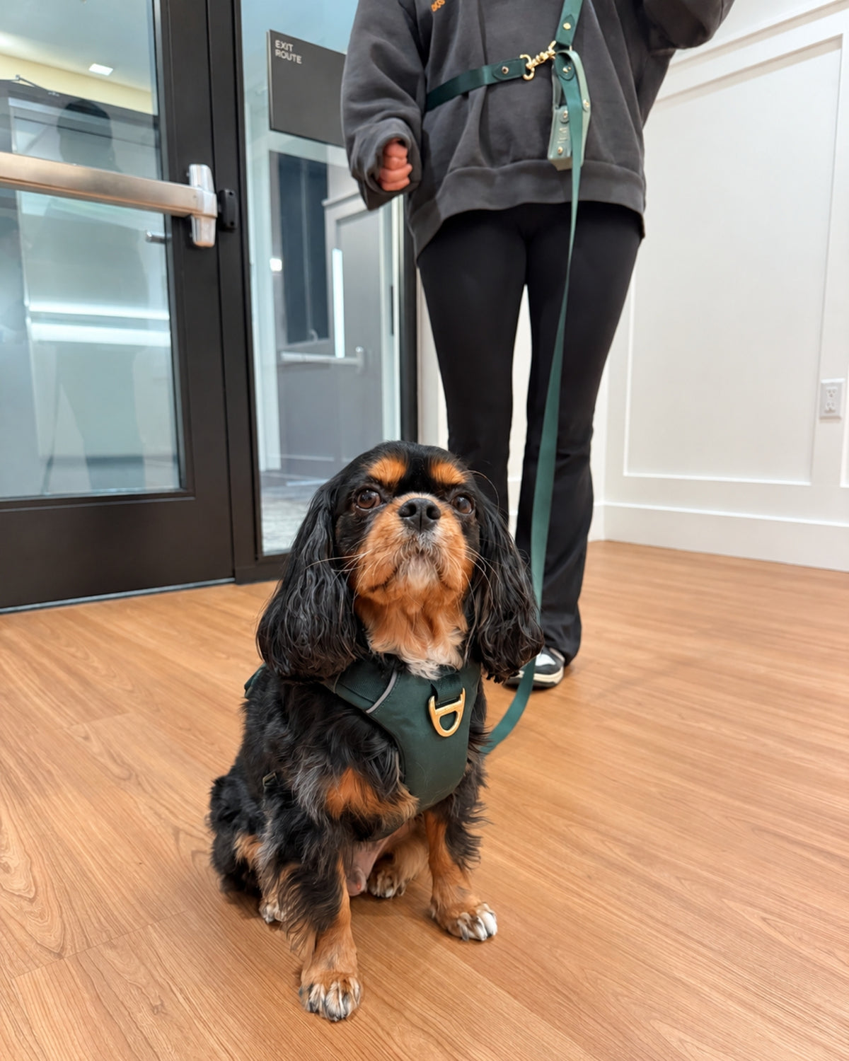 Harness & Crossbody Leash Set – Forest Green