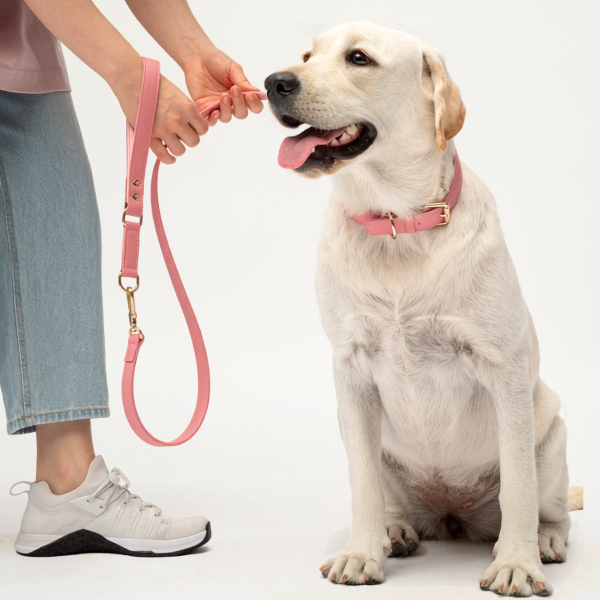 Baby Pink vegan leather dog collar with gold buckle and D-ring