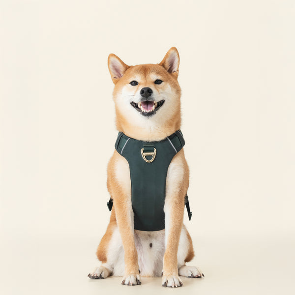 Harness- Forest Green
