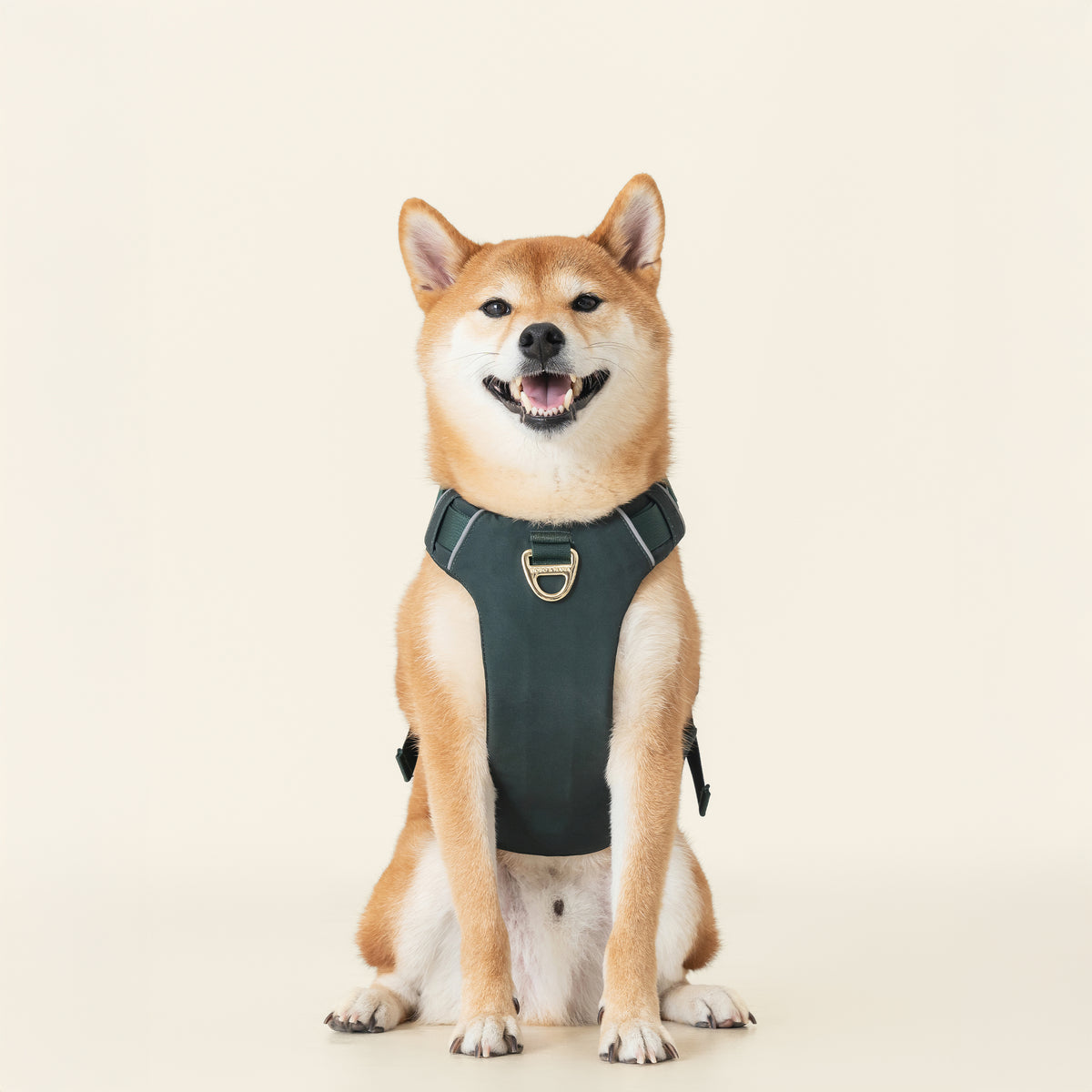 Forest Green padded dog harness with four adjustment points and reflective trim