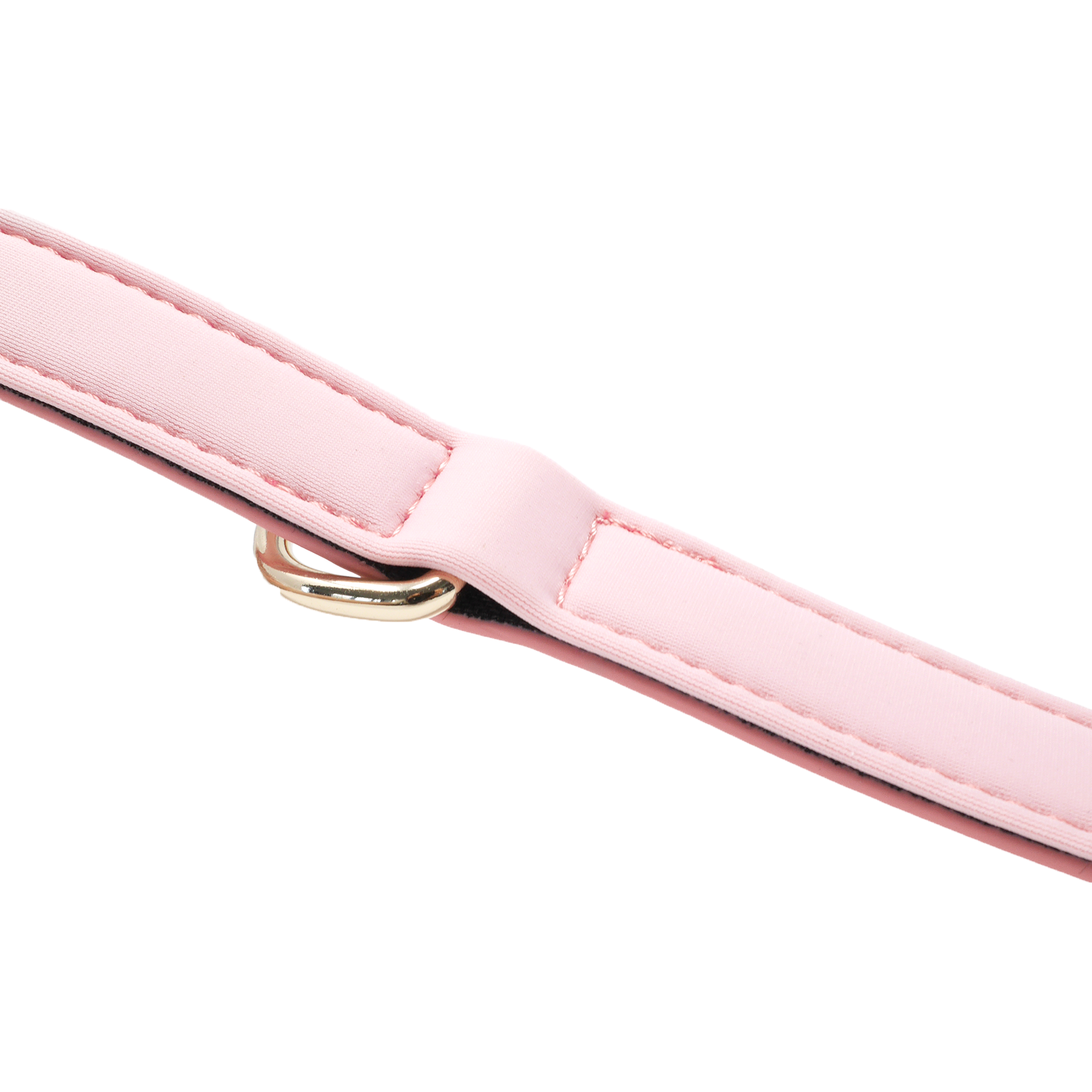 Close-up detail of the Baby Pink dog collar featuring soft foam padding and gold D-ring hardware.