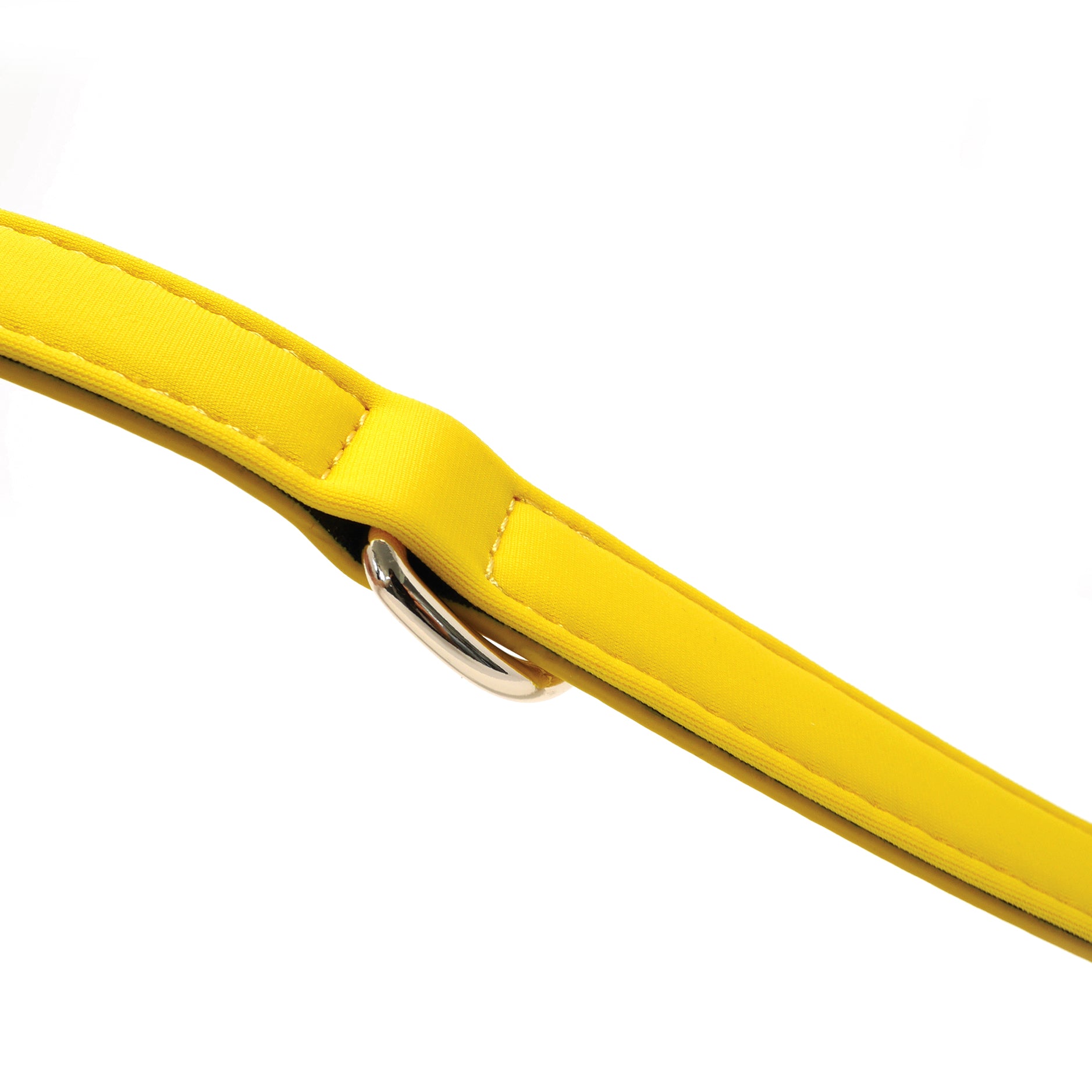 Close-up detail of the Bumblebee Yellow dog collar featuring soft foam padding and gold D-ring hardware.