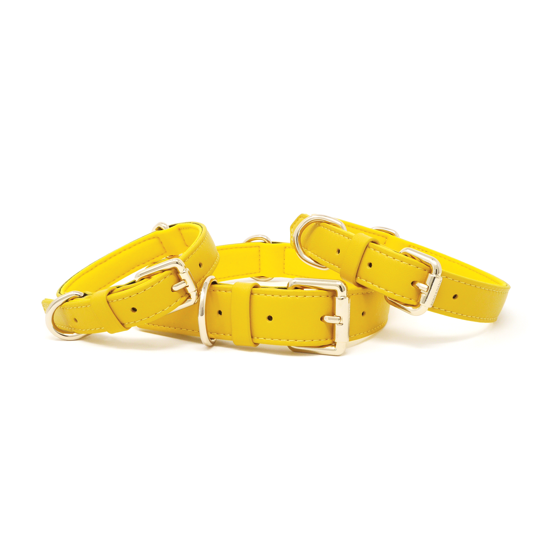 Bumblebee Yellow dog collars in multiple sizes with premium gold hardware and soft padded lining.
