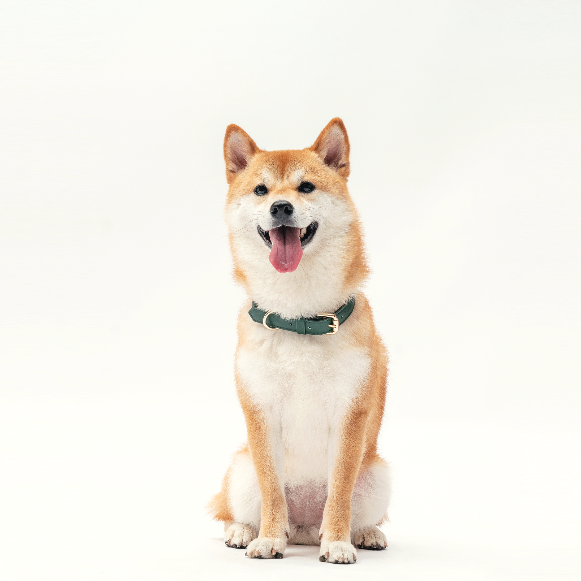 Collar - Forest Green - BOBO & NANA