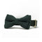 Bow Tie - Forest Green