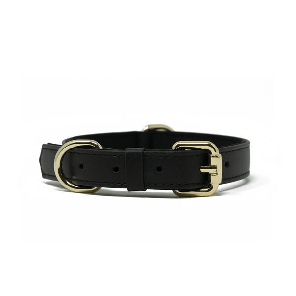 Collar - Onyx Black