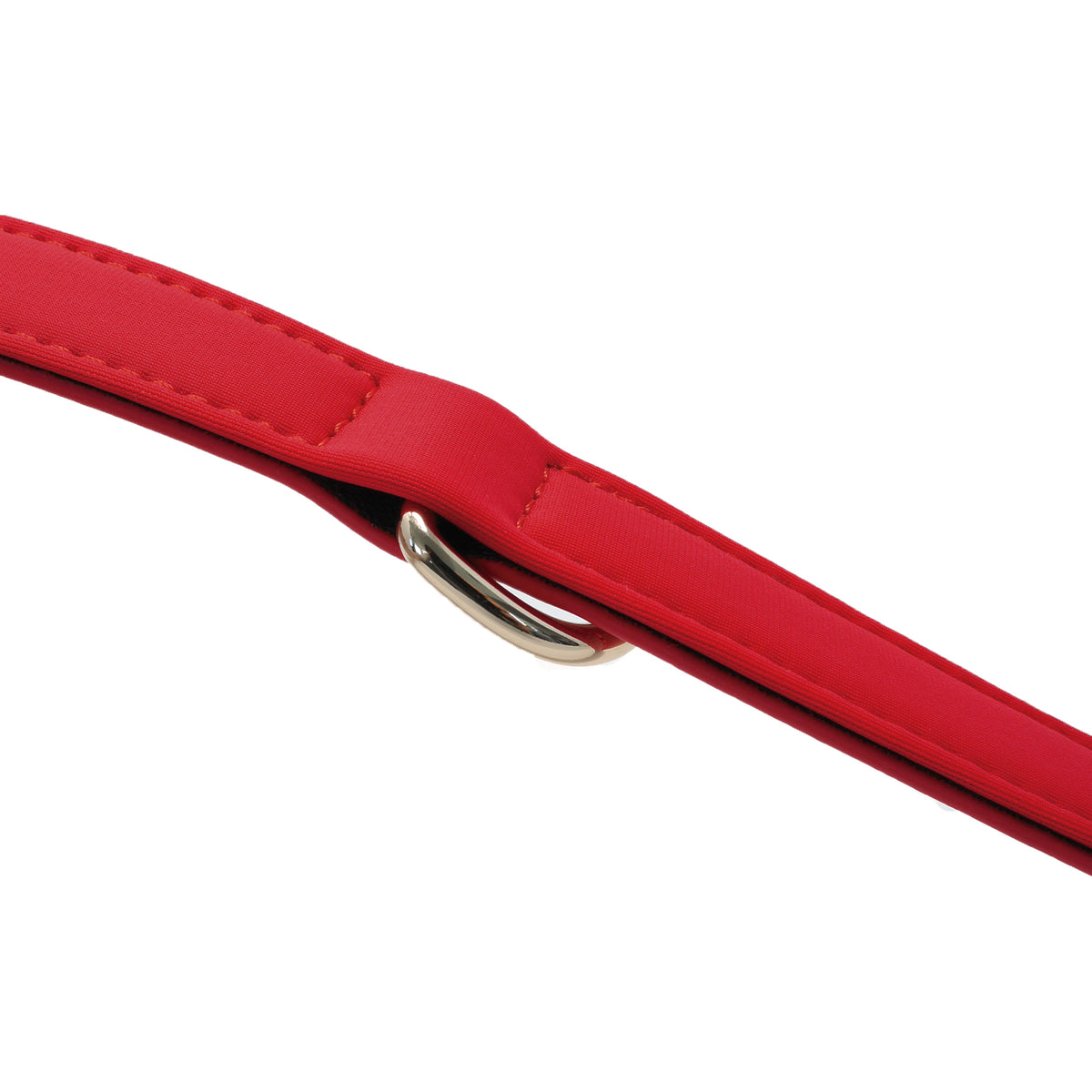 Close-up detail of the Flame Red dog collar featuring soft foam padding and gold D-ring hardware.