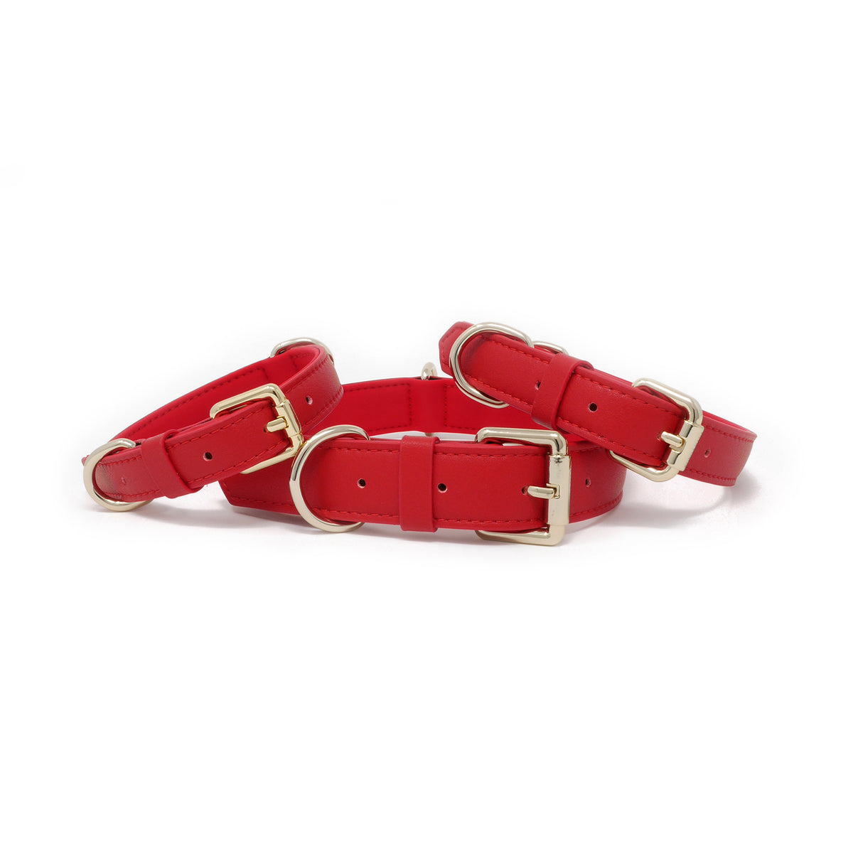 Flame Red dog collars in multiple sizes with premium gold hardware and soft padded lining.