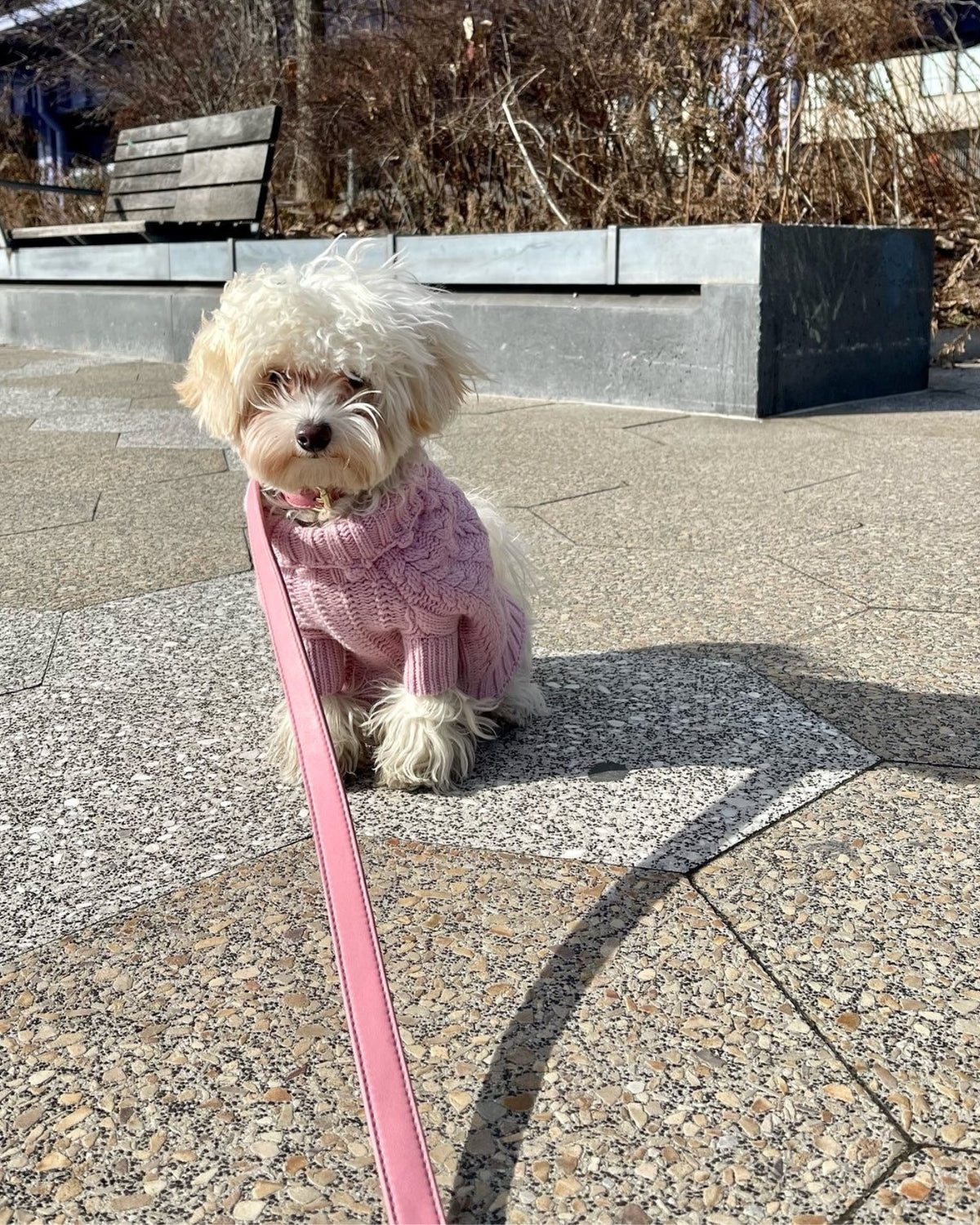 Classic Leash - Baby Pink