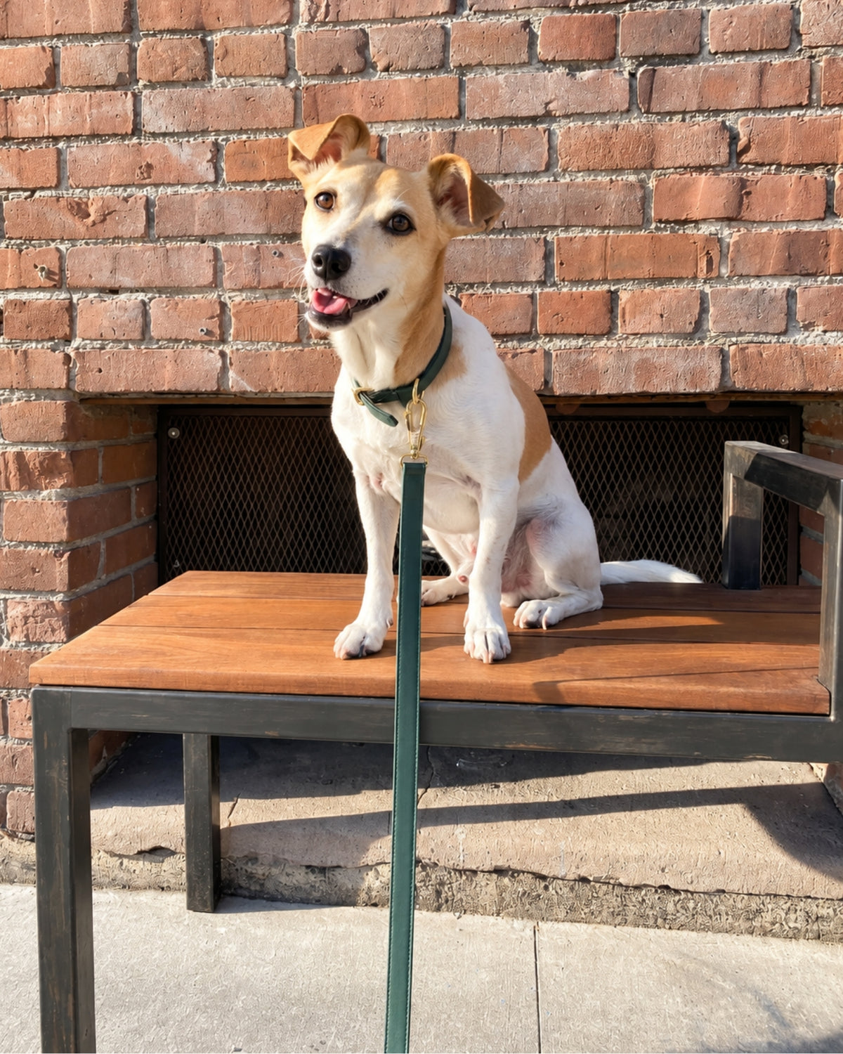 Classic Leash - Forest Green