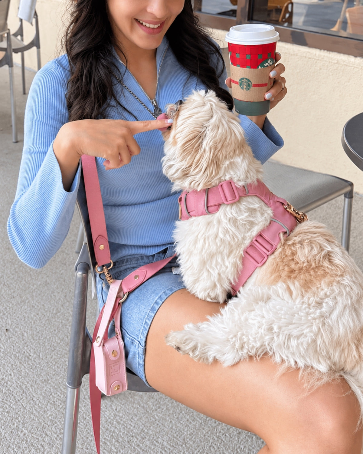 Harness & Crossbody Leash Set – Baby Pink