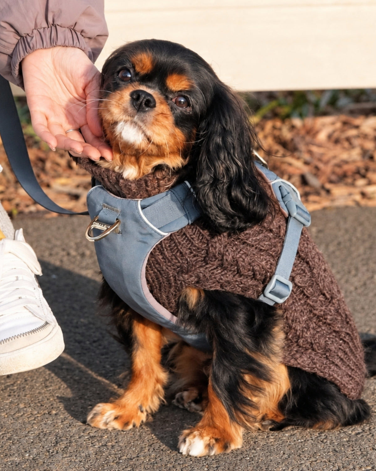 Harness & Crossbody Leash Set – Stone Blue