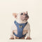 Harness- Stone Blue