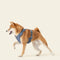 Harness- Stone Blue