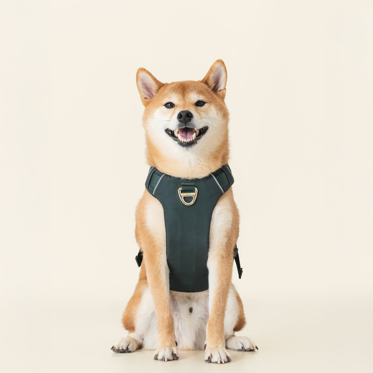 Harness- Forest Green