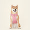 Harness- Baby Pink