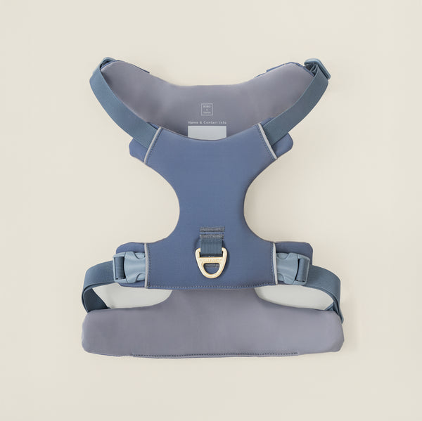 Harness - Stone Blue