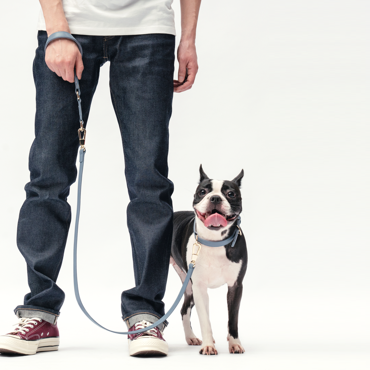 Dog wearing the Stone Blue collar with the matching Classic Leash