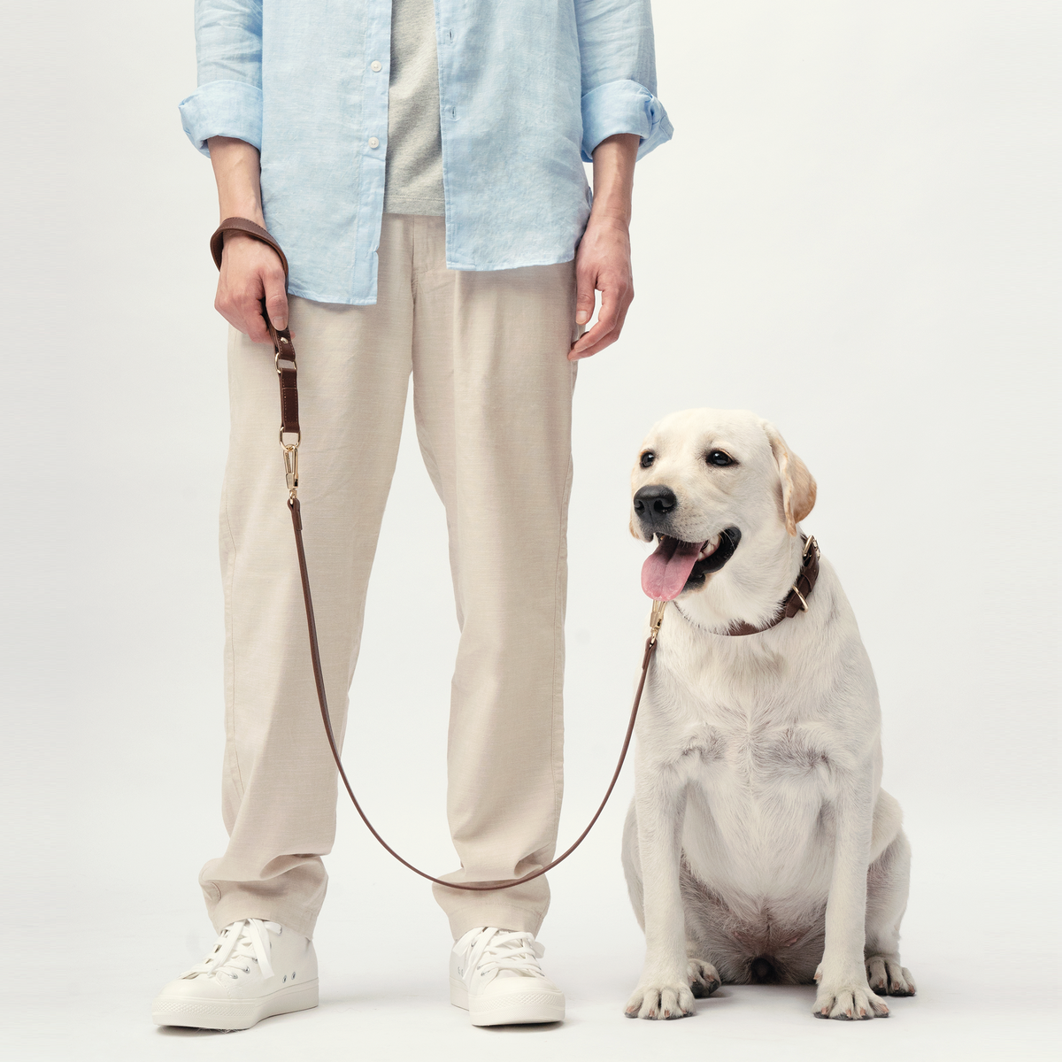 Dog wearing the Chocolate Brown collar with the matching Classic Leash