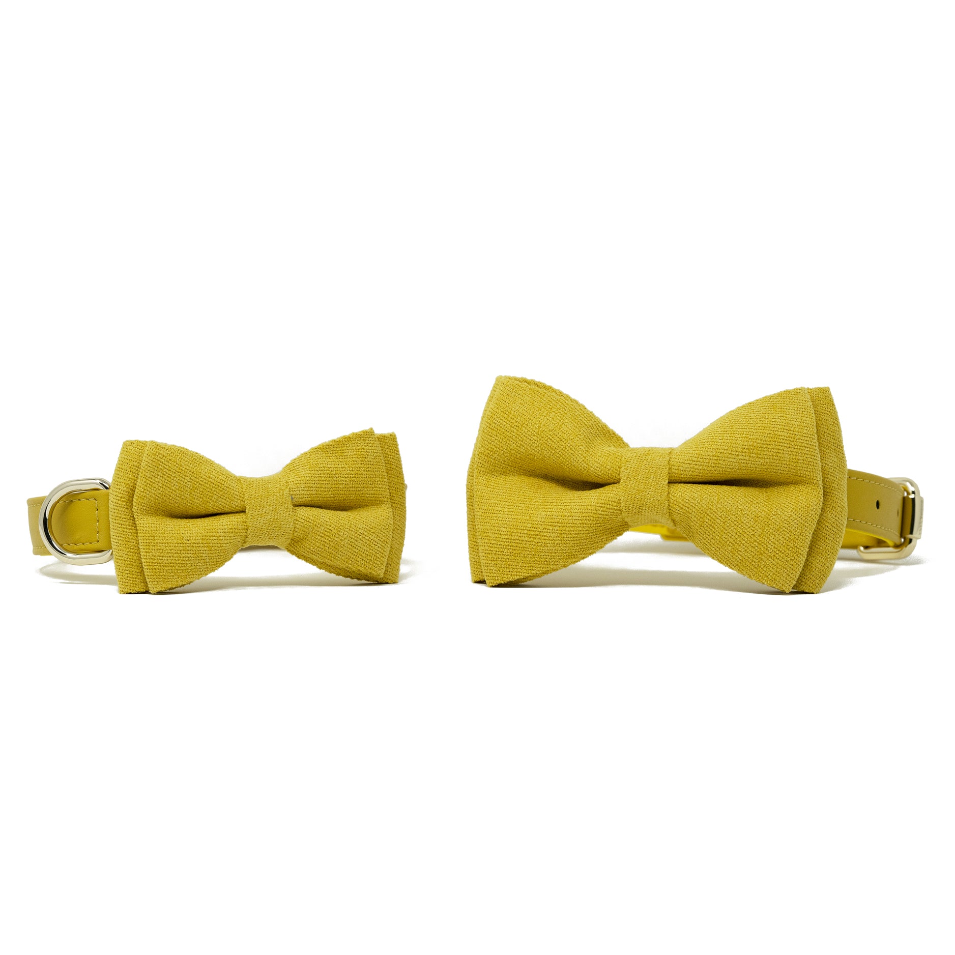 Bow Tie - Bumblebee Yellow