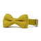 Bow Tie - Bumblebee Yellow