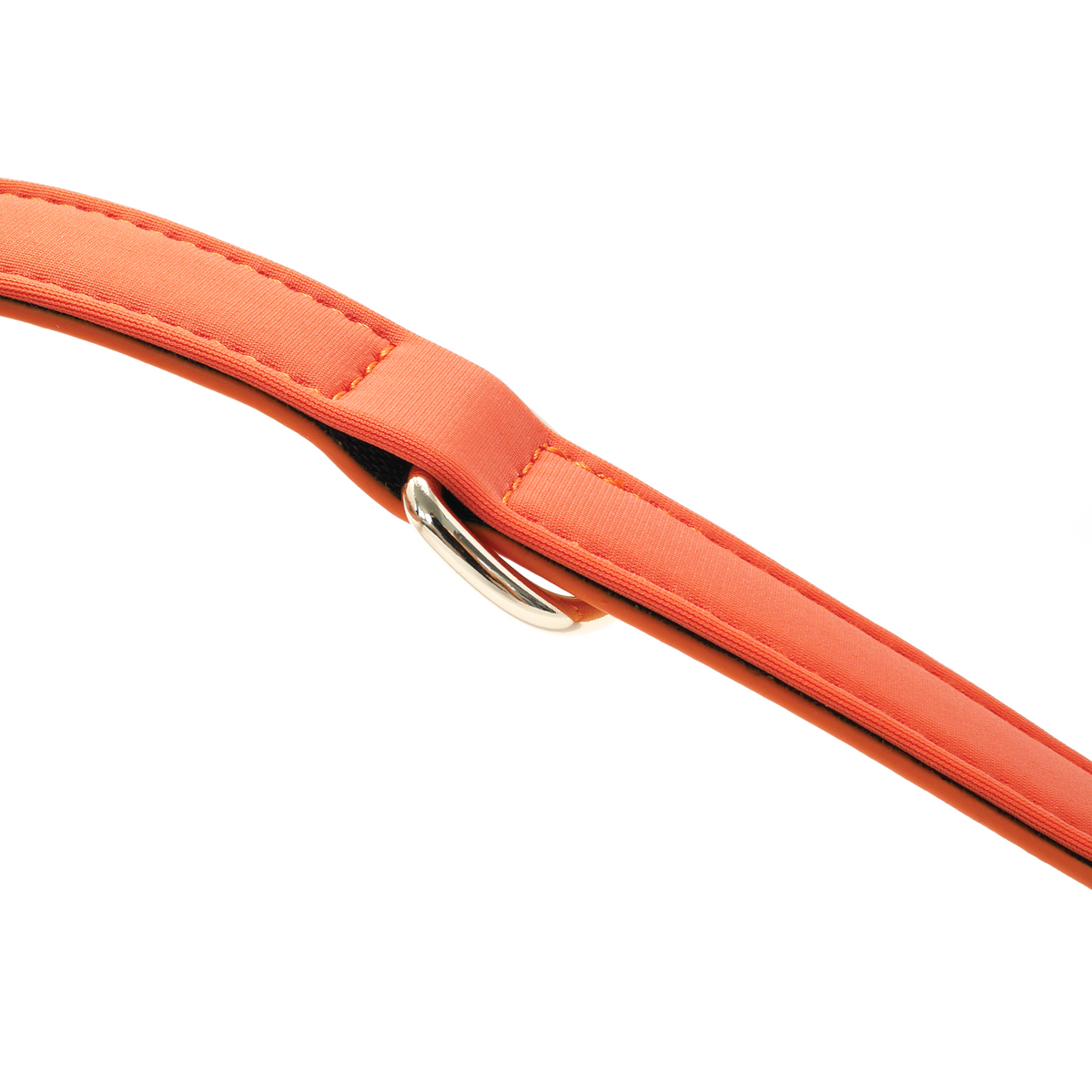 Close-up detail of the Tangerine Orange dog collar featuring soft foam padding and gold D-ring hardware.