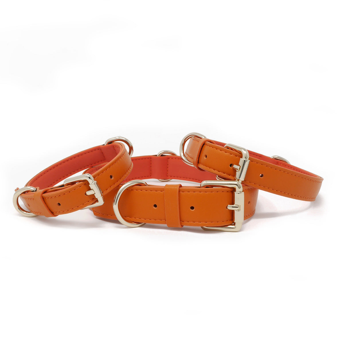 Tangerine Orange dog collars in multiple sizes with premium gold hardware and soft padded lining.